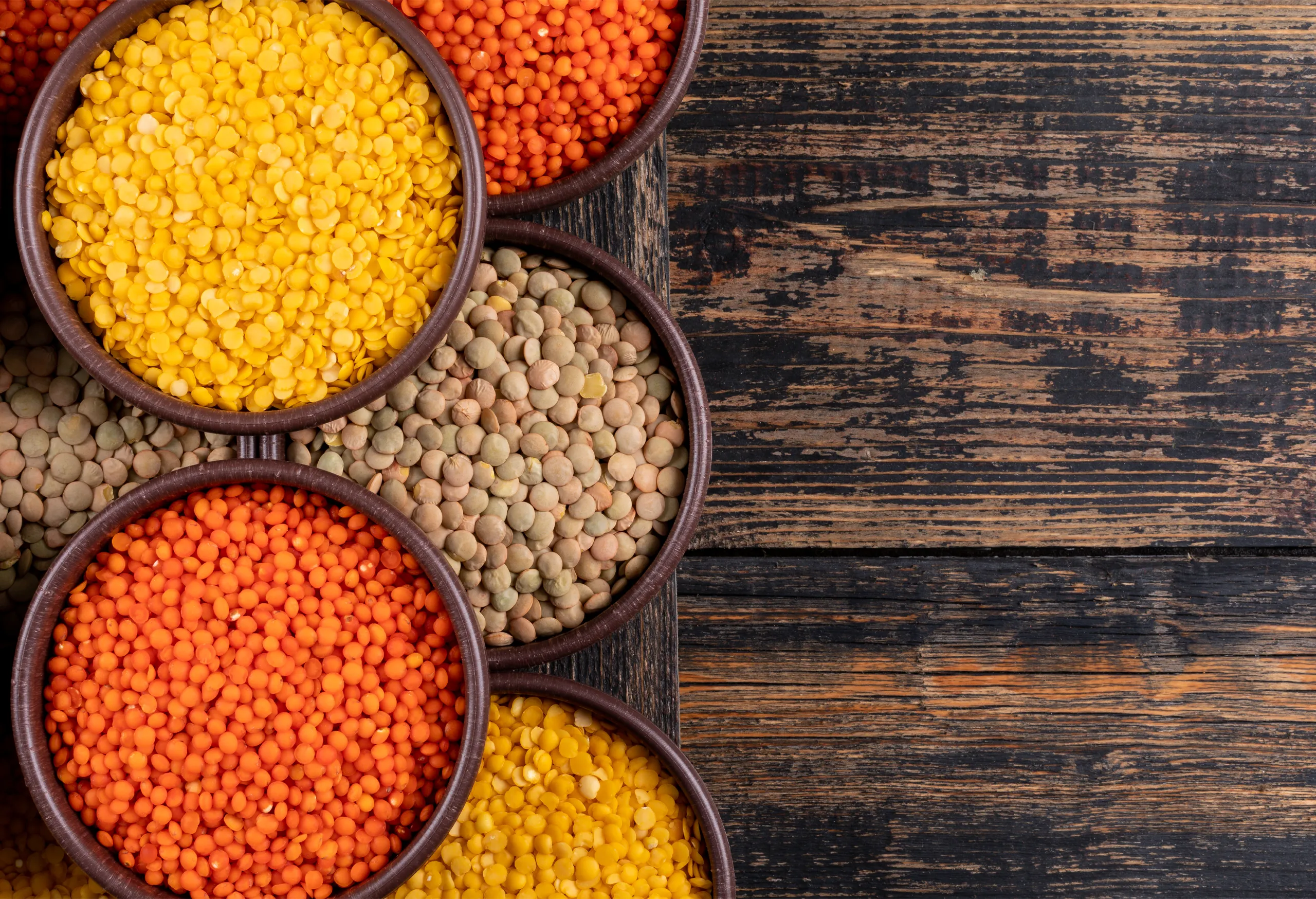 arroz-legumbres-cereales-portada-01